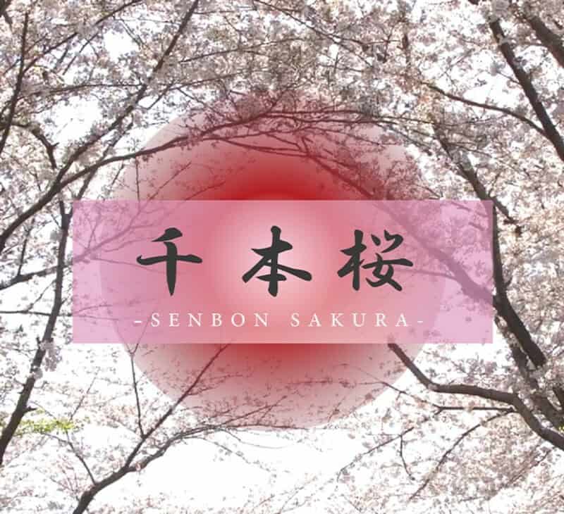 Sim0nt0k Jepang Senyum Muncul Lagi] Ran-chan Adalah Wanita Tercantik Dengan Penampilan Dan Gaya Terbaik